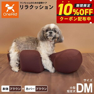 yő2000~OFFN[|IX|Cgő62{IX[p[SALEIzOneAid NbV Jo[Zbg DM uEyz p  pi xbh p ^Zp