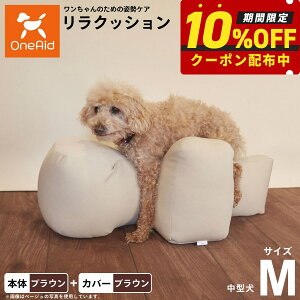 yő2000~OFFN[|IX|Cgő62{IX[p[SALEIzOneAid NbV Jo[Zbg M uEyz p  pi xbh p ^p