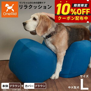 yő2000~OFFN[|IX|Cgő62{IX[p[SALEIzOneAid NbV Jo[Zbg L uEyz p  pi xbh p ^?^p