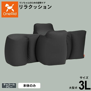 yX|Cgő39{I{IzOneAid GCh NbV 3L `R[O[yzp  pi xbh p ^p