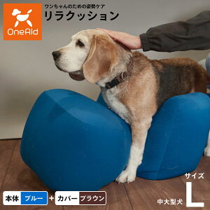 yX|Cgő39{I{IzOneAid NbV Jo[Zbg L u[yz p  pi xbh p ^?^p