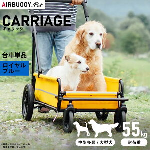 yGg[Ń|Cg+6.5{I925IzGAoM[ tH[ hbO LbWiCARRIAGEj ԒPi Cu[yz ybgJ[g AIRBUGGY AD3032