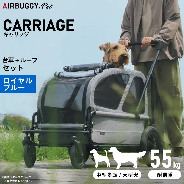 楽天市場】【店内ポイント最大43倍！本日限定！】エアバギー フォー 