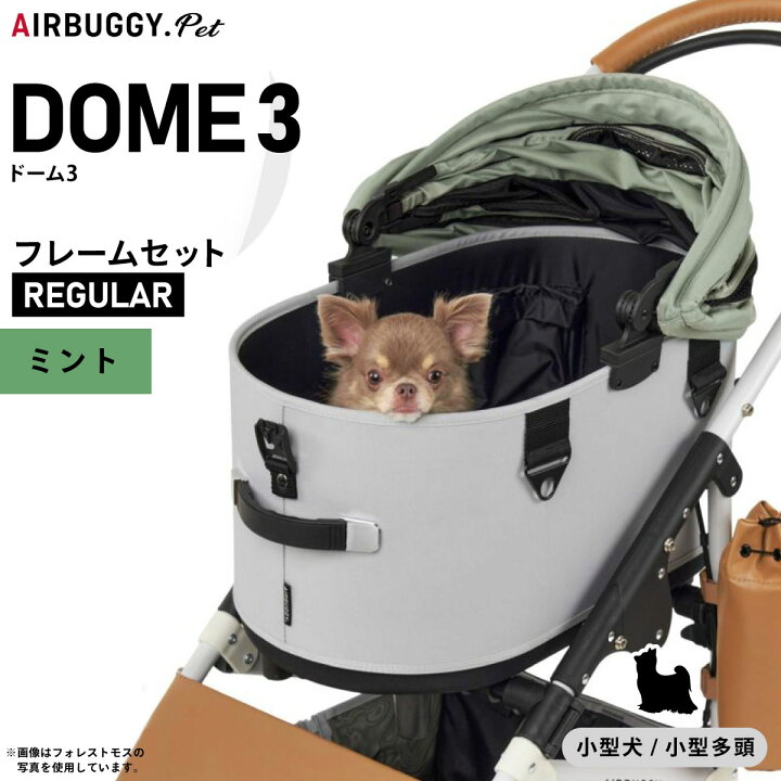 楽天市場】【店内ポイント最大39.5倍！本日限定！】エアバギー フォー 