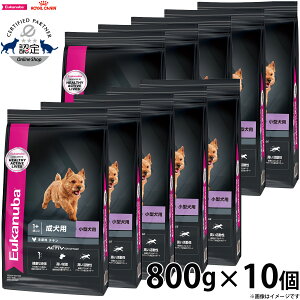 800g×10