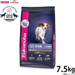 [Jko Eukanuba hbOt[h ps[ CX 7.5kg VjAp Sp