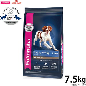 [Jko Eukanuba hbOt[h VjA CX 7.5kg VjAp Sp 7Έȏ
