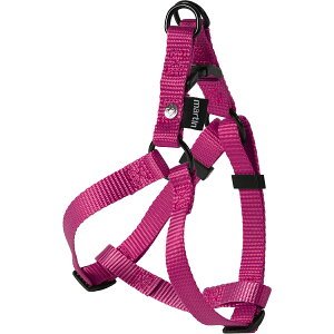 �y8/1����I���I�ōő�1000pt�o�b�N���ő�400�~OFF�N�[�|���z�}�[�e�B�� �Z���[ MARTIN SELLIER �i�C�����n�[�l�X S ���[�Y