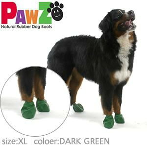 yő2000~OFFN[|IX|Cgő62{I{IzPAWZ hbOu[c 12 XLTCY pi/ybgObY/ybgpi