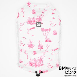 yX|Cgő46{I{IzWEH[N GEWALK 518 ANeBu TVF[h ^Ngbv BM sN