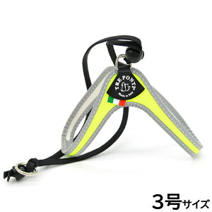 yX|Cgő46{I{Izg|eB TREPONTI x^ tI ^pn[lX 3 CG[