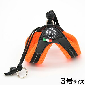 yX|Cgő46{I{Izg|eB TREPONTI x^ \tgbV ^pn[lX 3 IW