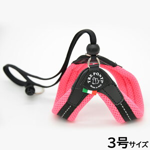 yX|Cgő46{I{Izg|eB TREPONTI x^ \tgbV ^pn[lX 3 sN