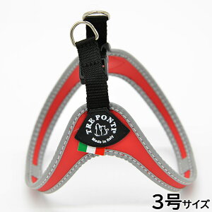 yX|Cgő46{I{Izg|eB TREPONTI tBbrA tNeBu ^pn[lX 3 bh