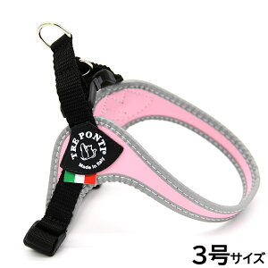 yX|Cgő46{I{Izg|eB TREPONTI tBbrA AWX^u^Cv tNeBu n[lX 3 sN