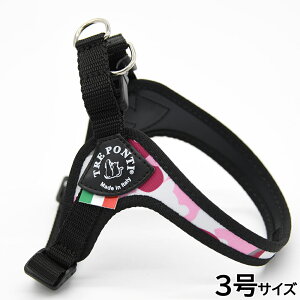 yX|Cgő46{I{Izg|eB TREPONTI tBbrA AWX^u^Cv Jt[W n[lX 3 sNJ