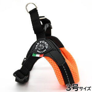 yX|Cgő46{I{Izg|eB TREPONTI tBbrA AWX^u^Cv \tgbV n[lX 3 IW