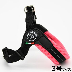 yX|Cgő46{I{Izg|eB TREPONTI tBbrA AWX^u^Cv \tgbV n[lX 3 sN