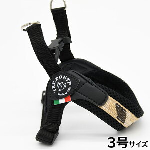 yX|Cgő46{I{Izg|eB TREPONTI tBbrA AWX^u^Cv yj[RNV n[lX 3 fU[gJ