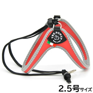 yGg[Ń|Cg+4{I{Izg|eB TREPONTI x^ tNeBu ^pn[lX 2.5 bh