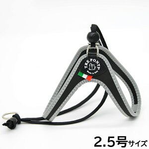yGg[Ń|Cg+6.5{I{Izg|eB TREPONTI x^ tNeBu ^pn[lX 2.5 ubN