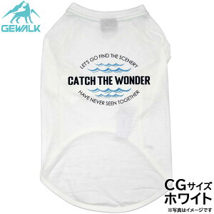 yGg[Ń|Cg+6.5{I925IzWEH[N GEWALK Z^[ EF[u vg OtBbN TVc CG zCg  hbOEFA ybgEFA