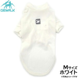 yX|Cgő46{I{IzWEH[N GEWALK h K[h}bNX ANeBu TVc M zCg  hbOEFA ybgEFA 悯