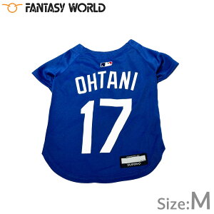 yő2000~OFFN[||Cg+5{zMLBF T[X hW[X JĕI胂f W[W M u[yz  m hbOEFA jtH[ 싅