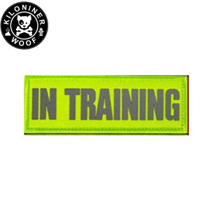 yX|Cgő46{I{IzKILONINER LiCi[ JX^}CYppb` Reflective High Visibility IN TRAINING Patch Green by