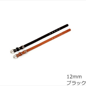 y400~OFFN[|IX|Cgő46{I121IzRR Ȗ؃U[ J[iցj 12mm ubN{v