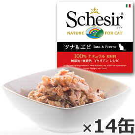 【店内ポイント最大39倍！5月30日！】Schesir（シシア）キャットシリーズ ゼリータイプ ツナ＆エビ 85g×14缶 猫缶 キャットフード ウェット 猫用品/ねこグッズ/ペット用品