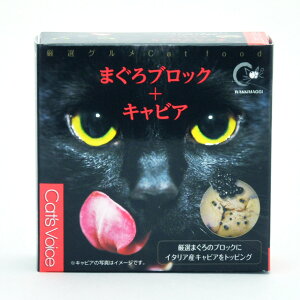 y2000~OFFN[|IX|Cgő55{I{IzLbgHCX O }O{LrA 80g Y Y fފ ⏕ gbsO