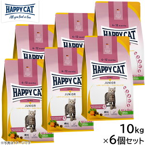 HAPPY CAT nbs[Lbg Lbgt[h O WjA t@[ |g[i`Lj 10kg×6Zbgyz Y