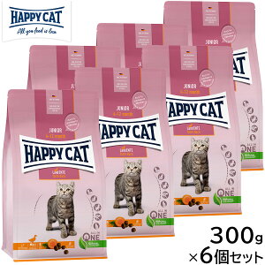 HAPPY CAT nbs[Lbg Lbgt[h O WjA t@[ _bNi̊/sgpj 300g×6Zbgyz Y