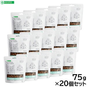 yX|Cgő46{I{IzlC`[YveNV Lp zCgLbg XibN I[PA 75g×20Zbgyz Y zCgR[g ܂₯΍