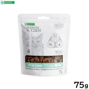 yX|Cgő46{I{IzlC`[YveNV Lp zCgLbg XibN I[PA 75g Y zCgR[g ܂₯΍