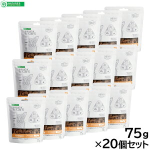 yX|Cgő46{I{IzlC`[YveNV Lp zCgLbg XibN AǃT|[g 75g×20Zbgyz Y zCgR[g ܂₯΍