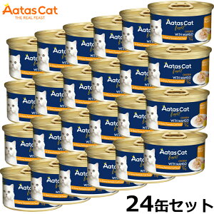 y2000~OFFN[|IX|Cgő56{IX[p[SALEIzA^X Aatas Lbgt[h t[eB[tB[Xg `Lwith}S[ 70g×24 Y sgp OCt[ SNp 