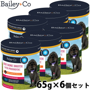 yGg[Ń|Cg+6.5{I{IzxC[R[ Bailey{Co t[YhC Tvg r[t {[ uX voCIeBNX 65g×6Zbg X[v ӂ肩 gbsO A~