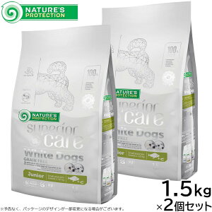 y2000~OFFN[|IX|Cgő56{IX[p[SALEIzlC`[YveNV hbOt[h zCghbO WjA 1.5kg×2Zbgyz zCgR[g q Y