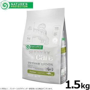 y2000~OFFN[|IX|Cgő56{IX[p[SALEIzlC`[YveNV hbOt[h zCghbO WjA 1.5kg ю zCgR[g q Y OCt[ 