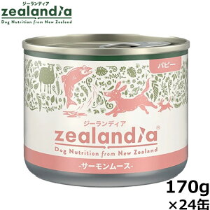 y2000~OFFN[|IX|Cgő56{IX[p[SALEIzW[fBA hbOt[h ps[ T[[X qp 170g×24 Y sgp OCt[ EFbg ʋl y