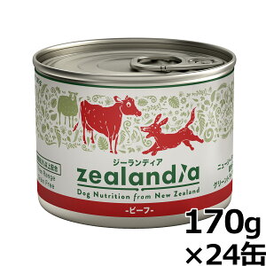 yX|Cgő46{I{IzW[fBA hbOt[h OCt[ EFbgt[h r[t 170g×24ʁyz ʋl Y sgp OCt[