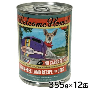 yX|Cgő46{I{IzEFJz[ hbOt[h EFbgt[h OCt[ Vs 355g×12ʃZbgyz Y sgp ʋl