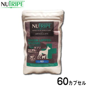 yő2000~OFFN[||Cg+5{zj[gCv Tvg GLMTv 60JvZyz ORT~ RhC` ֐ ΃CL