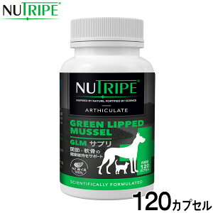 y400~OFFN[|IX|Cgő46{I121Izj[gCv Tvg GLMTv 120JvZyz ORT~ RhC` ֐ ΃CL