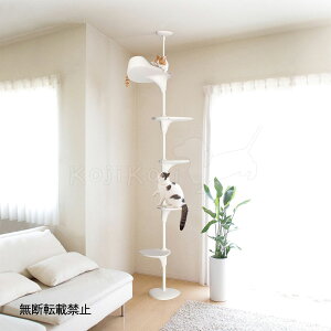 y2000~OFFN[|IX|Cgő55{I{Izyr[TzOPPO Ib| Lbg^[ ˂ X ȃXy[X LbgtHXg c[ CatForest-2  ub