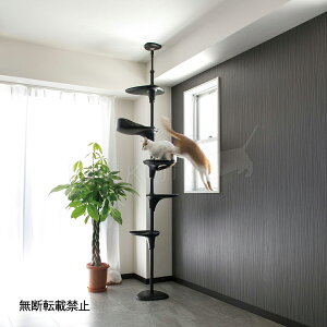 yGg[Ń|Cg+5.5{I{Izyr[TzOPPO Ib| Lbg^[ ˂ X ȃXy[X LbgtHXg c[ CatForest-2  ubN L lRpi