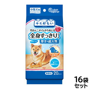 yX|Cgő46{I{IzGG[ L~ SgV[g ^p 20×16܁yz