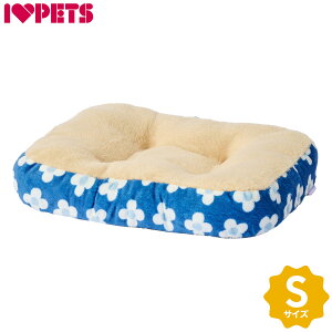 y1310Iő5000ptobNő2000~OFFN[|Iz{rAR XNGANbV S t[u[ tbgxbh XNGAxbh g